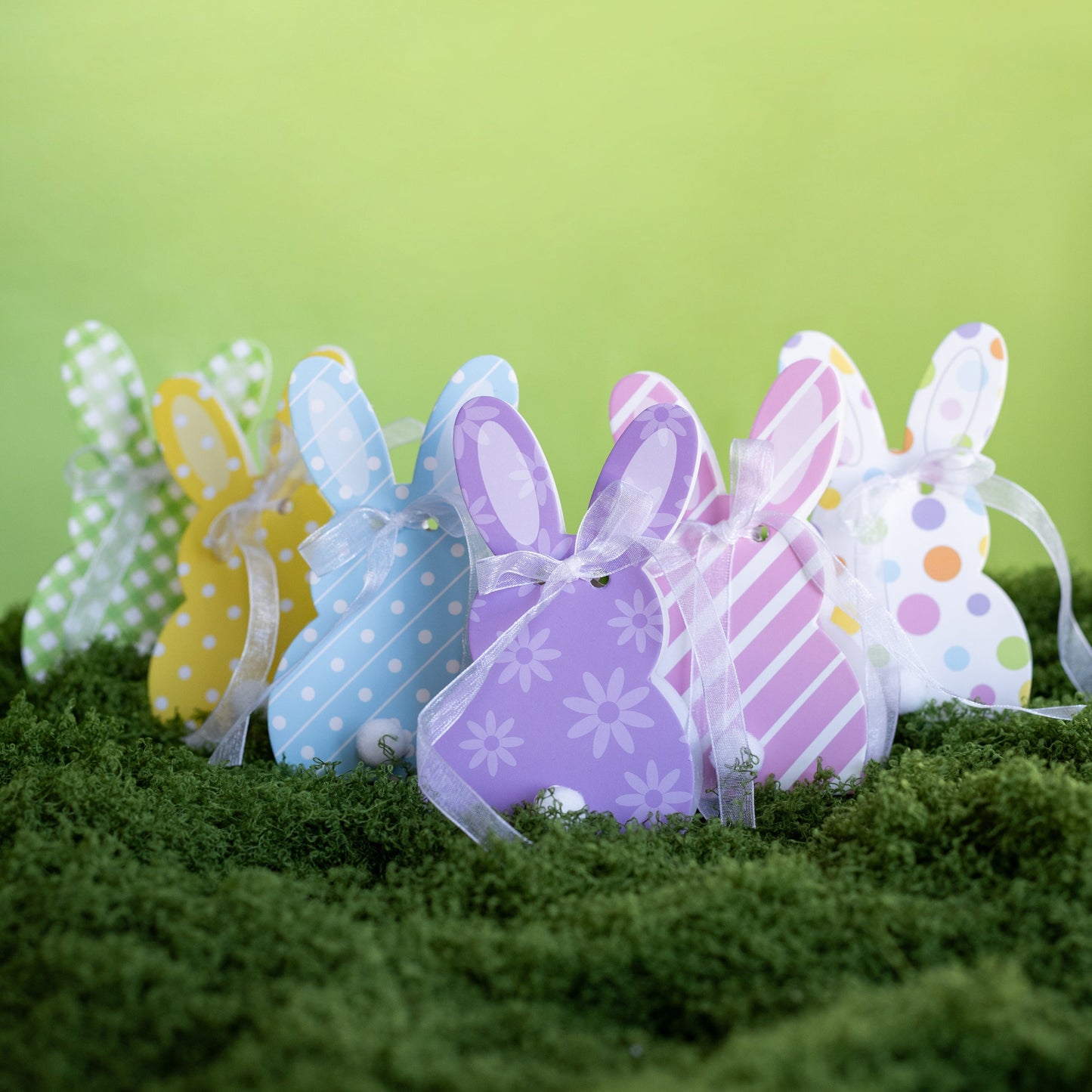 Small Bunny Box